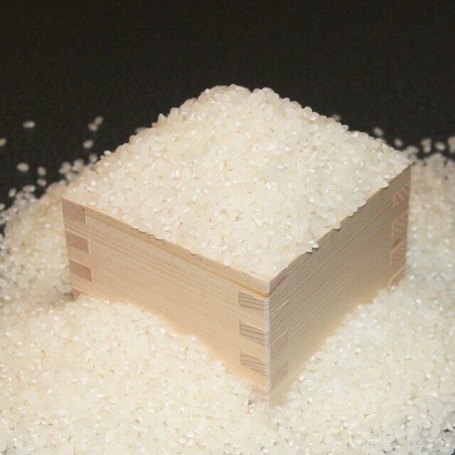 ホームページ
